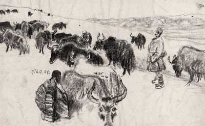 陈丹青 1976年作 牦牛群